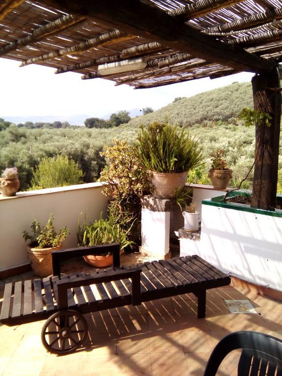 Masseria Sparano Villa บัตตีปาลเลีย ภายนอก รูปภาพ