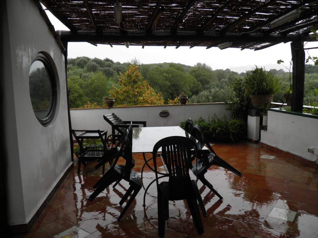 Masseria Sparano Villa บัตตีปาลเลีย ภายนอก รูปภาพ