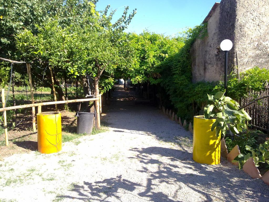 Masseria Sparano Villa บัตตีปาลเลีย ภายนอก รูปภาพ